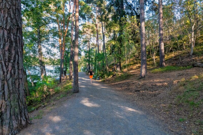 Trail